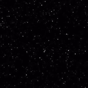 Meet your Posher, Sheyla